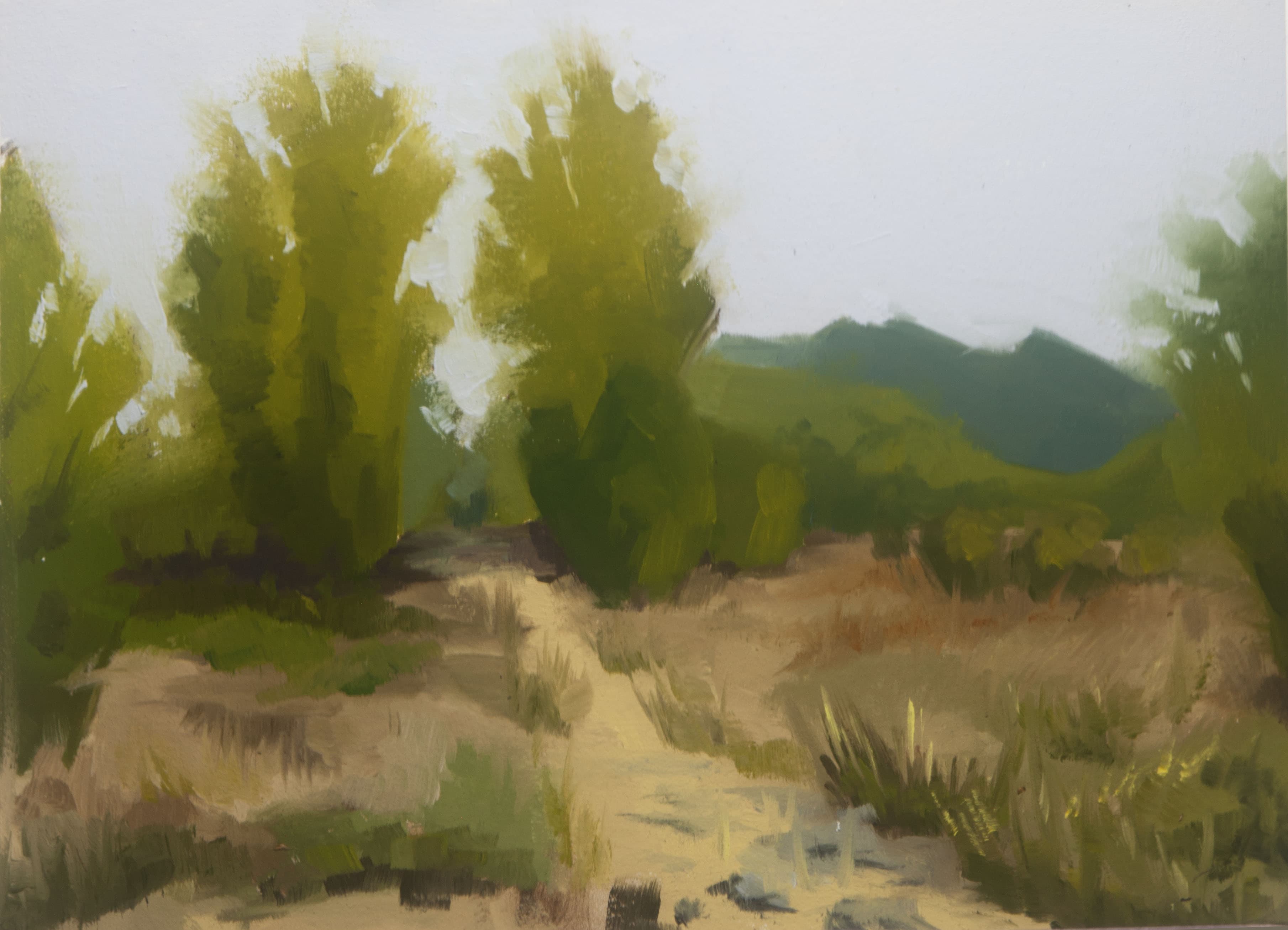 Plein Air Paintings